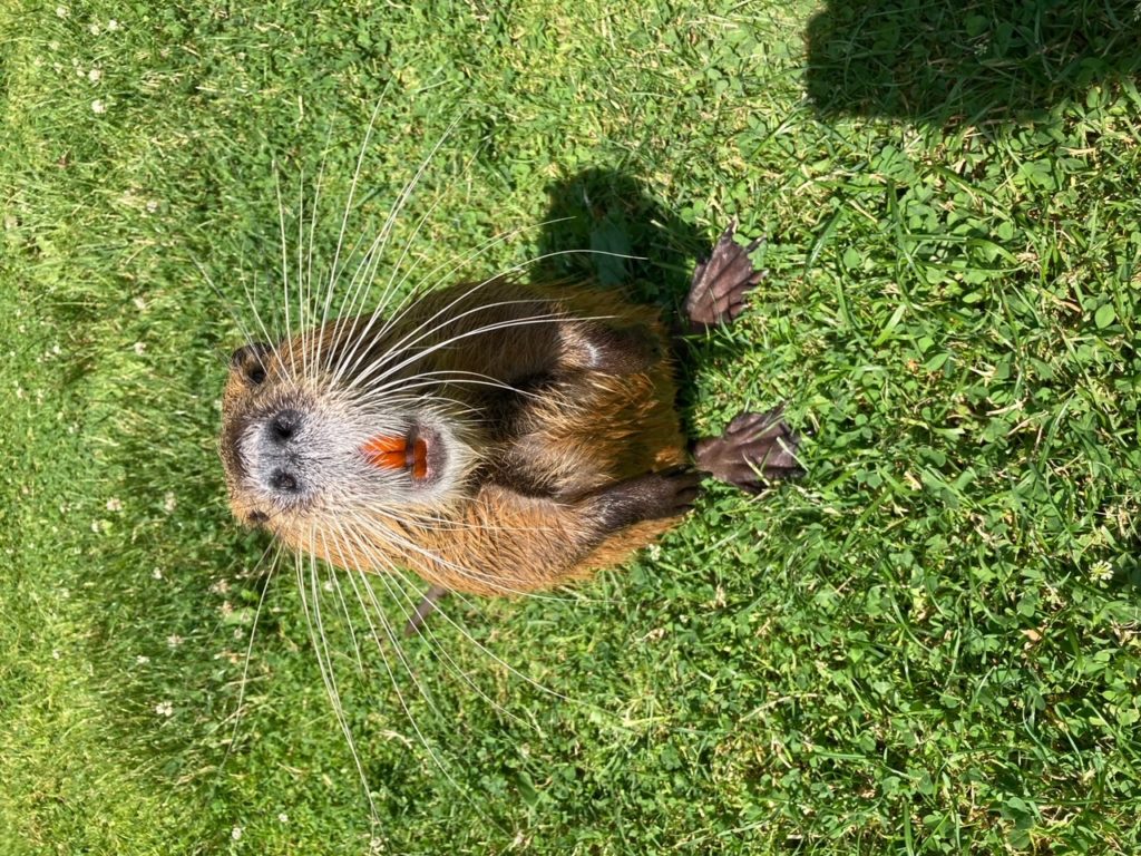 Półkolonie 2022 – Dzień IV